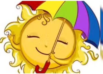 यंदा उष्ण लहरी सारखी परिस्थिती, मार्च ते मे महिन्यात असे राहील तापमान