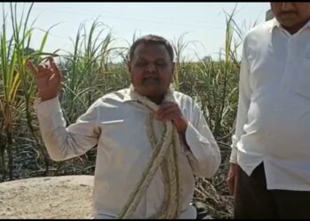 हाटमोहिदा येथे शॉर्ट सर्किटमूळे लागलेल्या आगीत सहा एकर क्षेत्रातील ऊस जळून खाक,शेतकऱ्याचा आत्महत्या करण्याचा इशारा