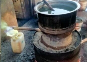 वडाळी येथे बेकायदेशिर गावठी हातभट्टीची पोलिसांची धाड, ११ हजारराचा मुद्देमाल जप्त