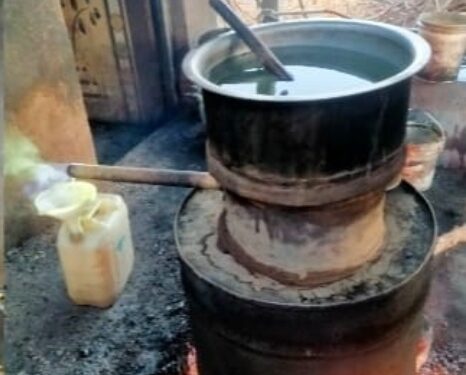 वडाळी येथे बेकायदेशिर गावठी हातभट्टीची पोलिसांची धाड, ११ हजारराचा मुद्देमाल जप्त