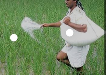 रशिया व युक्रेन युद्धामुळे खत तुटवडा, भाव वाढ होण्याची शक्यता, नंदूरबार जिल्ह्यातील शेतकऱ्यांनी आवश्यक खते खरेदी करण्याचे कृषी विभागाचे आवाहन