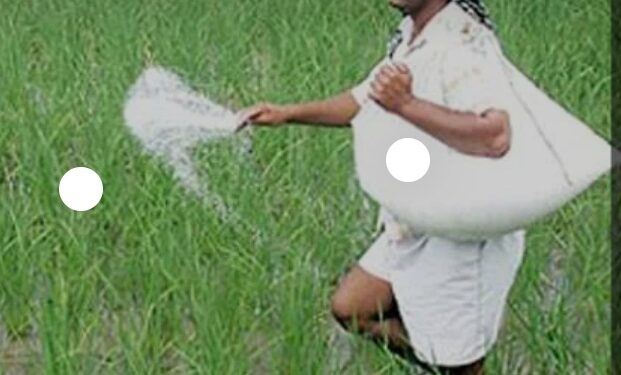 रशिया व युक्रेन युद्धामुळे खत तुटवडा, भाव वाढ होण्याची शक्यता, नंदूरबार जिल्ह्यातील शेतकऱ्यांनी आवश्यक खते खरेदी करण्याचे कृषी विभागाचे आवाहन