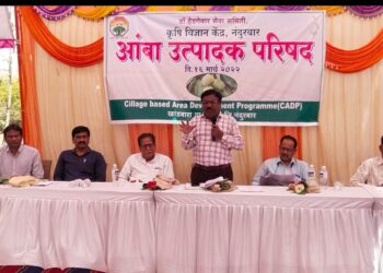 खांडबारा परिसरातील ६०० एकरावर आंबा लागवड सिलेज प्रकल्पाअंतर्गत आंबा उत्पादक परिषदेत तज्ञांचे मार्गदर्शन