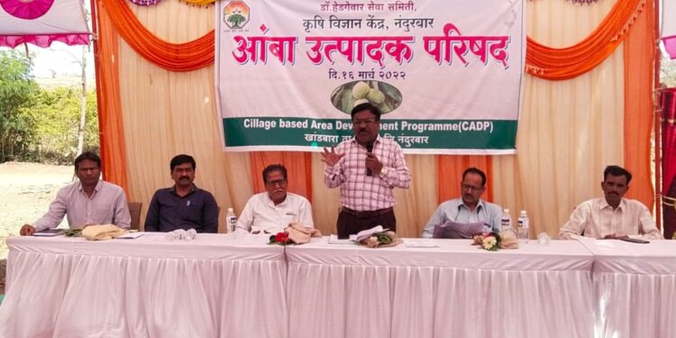 खांडबारा परिसरातील ६०० एकरावर आंबा लागवड सिलेज प्रकल्पाअंतर्गत आंबा उत्पादक परिषदेत तज्ञांचे मार्गदर्शन