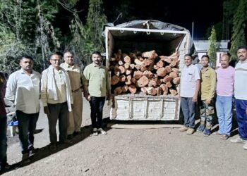 वनविभागाच्या पथकाने खैरजातीचे अवैध लाकूडसह ४ लाख ५० हजार रुपयांचा मुद्देमाल केला जप्त