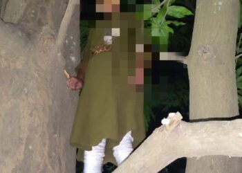 आंब्याच्या झाडाला ओढणीच्या सहाय्याने गळफास  घेऊन 18 वर्षीय युवतीची आत्महत्या