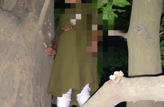 आंब्याच्या झाडाला ओढणीच्या सहाय्याने गळफास  घेऊन 18 वर्षीय युवतीची आत्महत्या