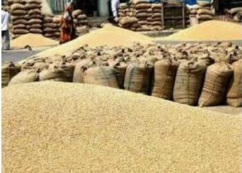 रब्बी हंगामातील धान,भरडधान्य खरेदी नोंदणी मुदत 30 एप्रिल पर्यंत