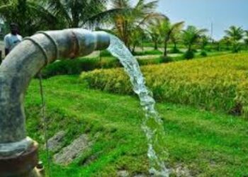 कृषिपंपांना ८ तास वीज देण्याचे प्रयत्न सुरु,  ‘सीजीपीएल’कडून ६३६ मेगावॅट वीज उपलब्ध,भारनियमनाची कोंडी फोडण्याचे महावितरणकडून शर्थीचे प्रयत्न