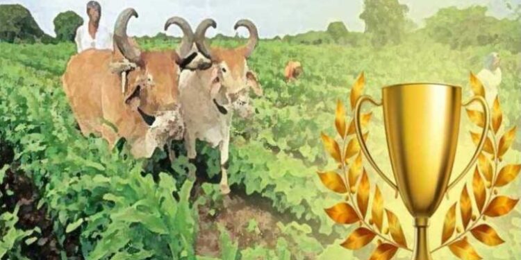 जिल्ह्यातील सुरेश गावीत व पुंजू भोये यांना शेतीनिष्ठ शेतकरी पुरस्कार जाहीर 2 मे रोजी नाशिक येथे होणार सन्मान