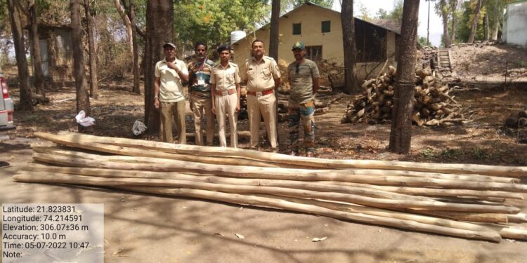 धडगांव वनविभागाची धडक कारवाई ,  कात्री येथे वाहतुकीच्या तयारीत असलेल्या सागवनाच्या दांड्या जप्त
