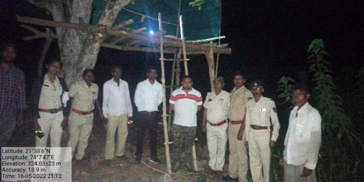 प्राणी गणनेत वनविभागाला दिसले हे प्राणी