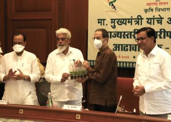 भाज्या, कडधान्यांचे दहा वाण राज्य शासन आता शेतकऱ्यांना मोफत देणार