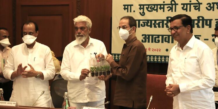 भाज्या, कडधान्यांचे दहा वाण राज्य शासन आता शेतकऱ्यांना मोफत देणार