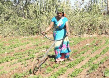 निंबोणीच्या रजनीताईंनी फुलवली माळरानावर शेती