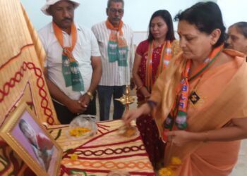 म्हसावद येथे भाजपातर्फे गरीब कल्याण व शेतकरी मेळावा