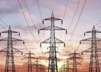 महाराष्ट्रात सलग १९ दिवसांपासून भारनियमन नाही, मात्र ८ राज्यांमध्ये अद्यापही विजेचे भारनियमन