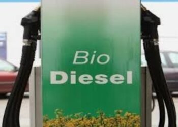 वाण्याविहीर ते गव्हाली दरम्यान हॉटेल्स व ढाब्यावर बायोडिझेलची विक्रीतून होतेय लाखों रुपयांची उलाढाल, अधिकाऱ्यांचे दुर्लक्ष