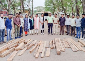 किळवणपाडा शिवारात एका नाल्यातून अवैध साग चौपाट नग व  बारीक पाट्या केल्या जप्त