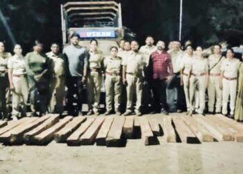 वनविभागाच्या कारवाईत अडीच लाखांचे सागवानी चौपाट जप्त