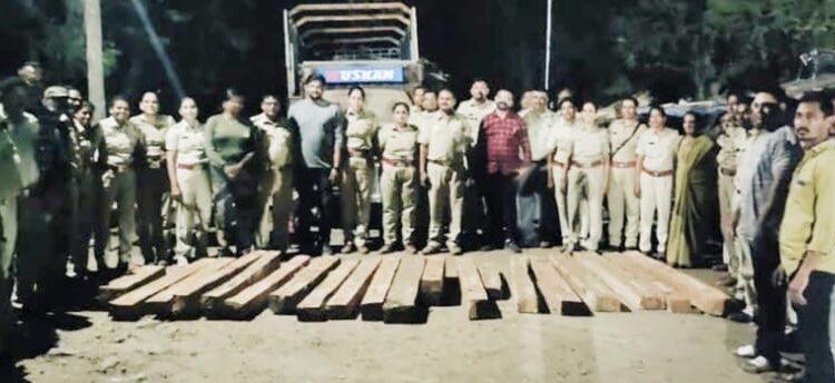 वनविभागाच्या कारवाईत अडीच लाखांचे सागवानी चौपाट जप्त