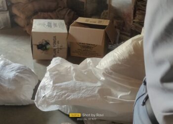 खापर येथे दोन लाखांचा गुटखा जप्त