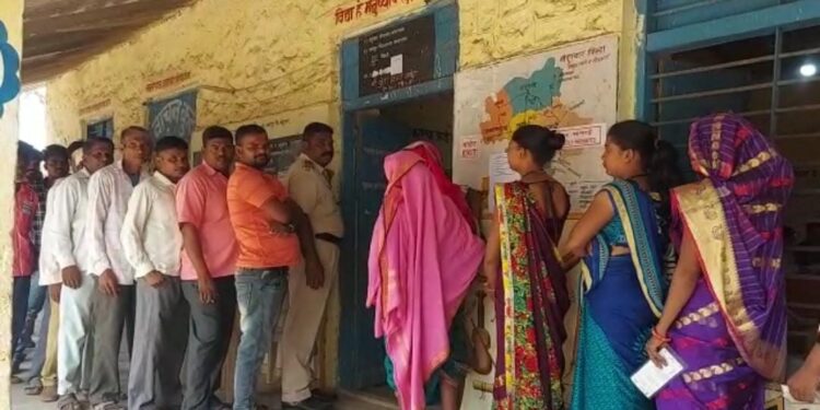 चितवी गटासाठी झाले ६९.७७ टक्के मतदान, राष्ट्रवादी व अपक्षात सरळ लढत