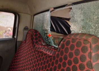 कारवाई करायला गेलेल्या वनविभागाच्या पथकावर हल्ला, दगडफेकीत वाहनाचे नुकसान, वनरक्षक जखमी