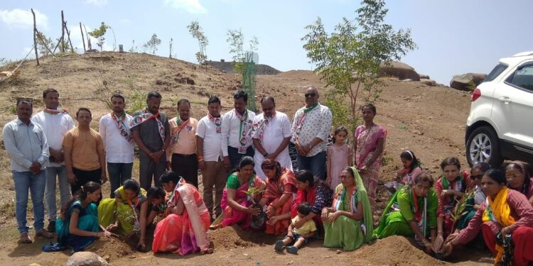 राष्ट्रवादी काँग्रेस पार्टीच्या 23 व्या वर्धापदिनानिमित्त 23 रोपे लावून वृक्षारोपण