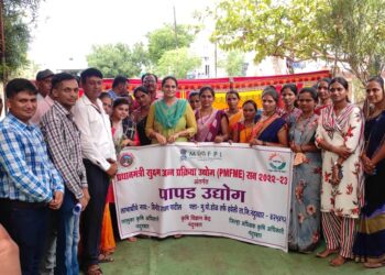 प्रधानमंत्री सुक्ष्म अन्न प्रक्रिया उद्योगांतर्गत पापड उद्योग केंद्राचे जिल्हाधिकारी मनीषा खत्री यांच्या हस्ते उद्घाटन