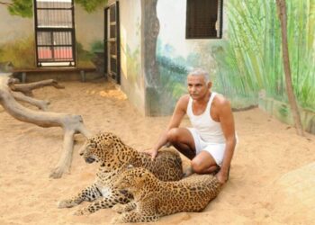 डॉ. प्रकाश बाबा आमटे यांच्या तब्येतीसंदर्भात एक महत्त्वाची बातमी समोर