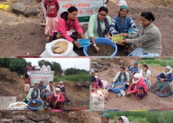 खरिपासाठी राज्यात खते, बियाणांचा तुटवडा नाही