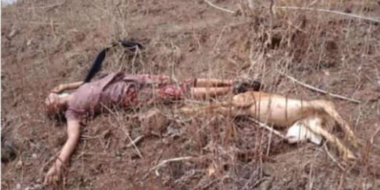 तुटलेल्या इलेक्ट्रीक तारचा शॉक लागून बकऱ्या चारण्यासाठी गेलेल्या युवतीचा मृत्यू