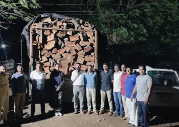 नवापूर येथे साडे तीन लाखांचे अवैध लाकूड जप्त