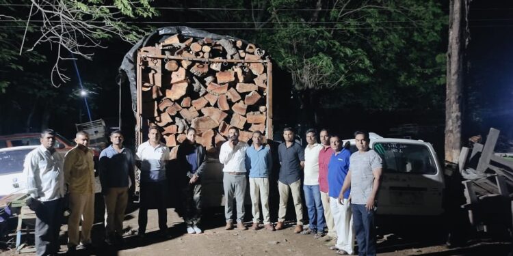 नवापूर येथे साडे तीन लाखांचे अवैध लाकूड जप्त