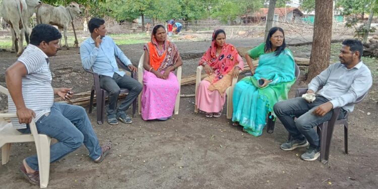 सातपुड्यातील मशरूम व रसायनमुक्त काळ्या तांदळाला अमेरिकेत मागणी