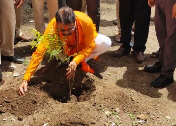 वृक्षसंवर्धन केल्यास भविष्यात ऑक्सिजनची कमतरता जाणवणार नाही : आ.आमश्या पाडवी