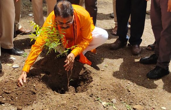 वृक्षसंवर्धन केल्यास भविष्यात ऑक्सिजनची कमतरता जाणवणार नाही : आ.आमश्या पाडवी