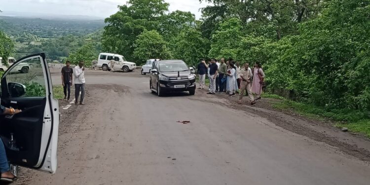 अखेर सार्वजनिक बांधकाम विभागाने चरणमाळ घाटाची पाहणी केली