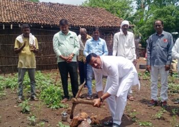 आ.राजेश पाडवी यांच्याकडून विविध विकास कामांचे भूमिपूजन