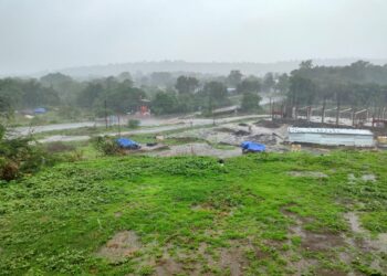 नंदुरबार जिल्ह्यात दमदार पावसाची हजेरी