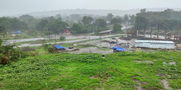 नंदुरबार जिल्ह्यात दमदार पावसाची हजेरी