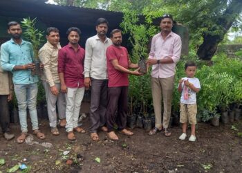 चिनोदा येथे युवकांनी केले ४०० रोपांचे वाटप