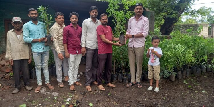 चिनोदा येथे युवकांनी केले ४०० रोपांचे वाटप