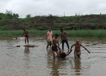 पूरात वाहुन मृत्यू झालेल्या महिलेचा ५ दिवसानंतरही पत्ता लागेना