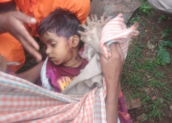 आई सोबत गुरे चारण्यासाठी गेलेल्या ४ वर्षीय बालकाचा बिबट्याने हल्लात मृत्यू