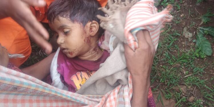 आई सोबत गुरे चारण्यासाठी गेलेल्या ४ वर्षीय बालकाचा बिबट्याने हल्लात मृत्यू
