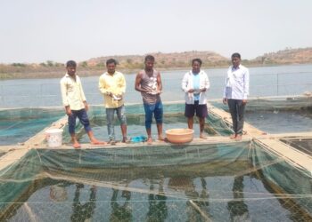 प्रेरणादायी : पिंजरा पद्धतीतून बोरपाडाच्या शेतकरी गटाने केली मत्स्य पालनातून रोजगाराची निर्मिती