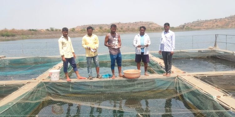 प्रेरणादायी : पिंजरा पद्धतीतून बोरपाडाच्या शेतकरी गटाने केली मत्स्य पालनातून रोजगाराची निर्मिती