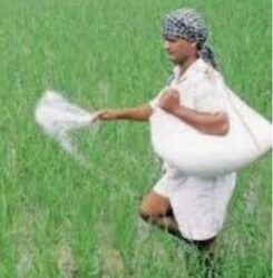 शेतकऱ्यांनी प्रधानमंत्री पिक विमा योजनेचा लाभ घेण्याचे आवाहन